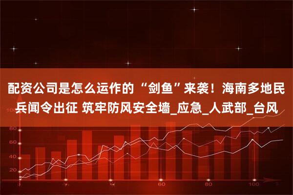 配资公司是怎么运作的 “剑鱼”来袭！海南多地民兵闻令出征 筑牢防风安全墙_应急_人武部_台风