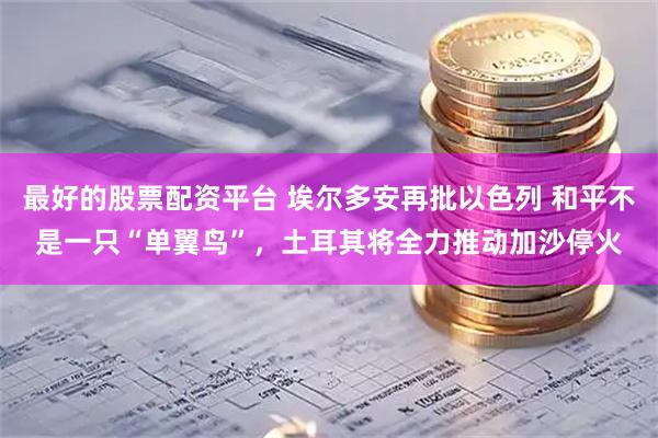 最好的股票配资平台 埃尔多安再批以色列 和平不是一只“单翼鸟”，土耳其将全力推动加沙停火