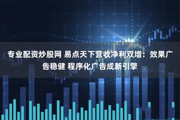 专业配资炒股网 易点天下营收净利双增：效果广告稳健 程序化广告成新引擎