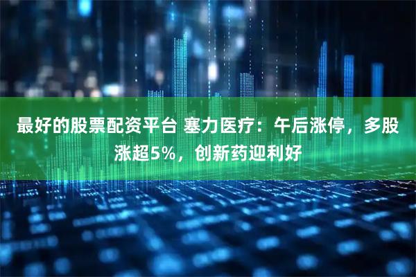 最好的股票配资平台 塞力医疗：午后涨停，多股涨超5%，创新药迎利好